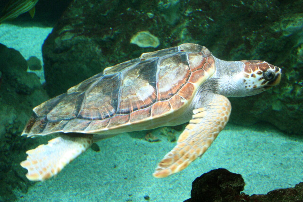 Slider Img 3