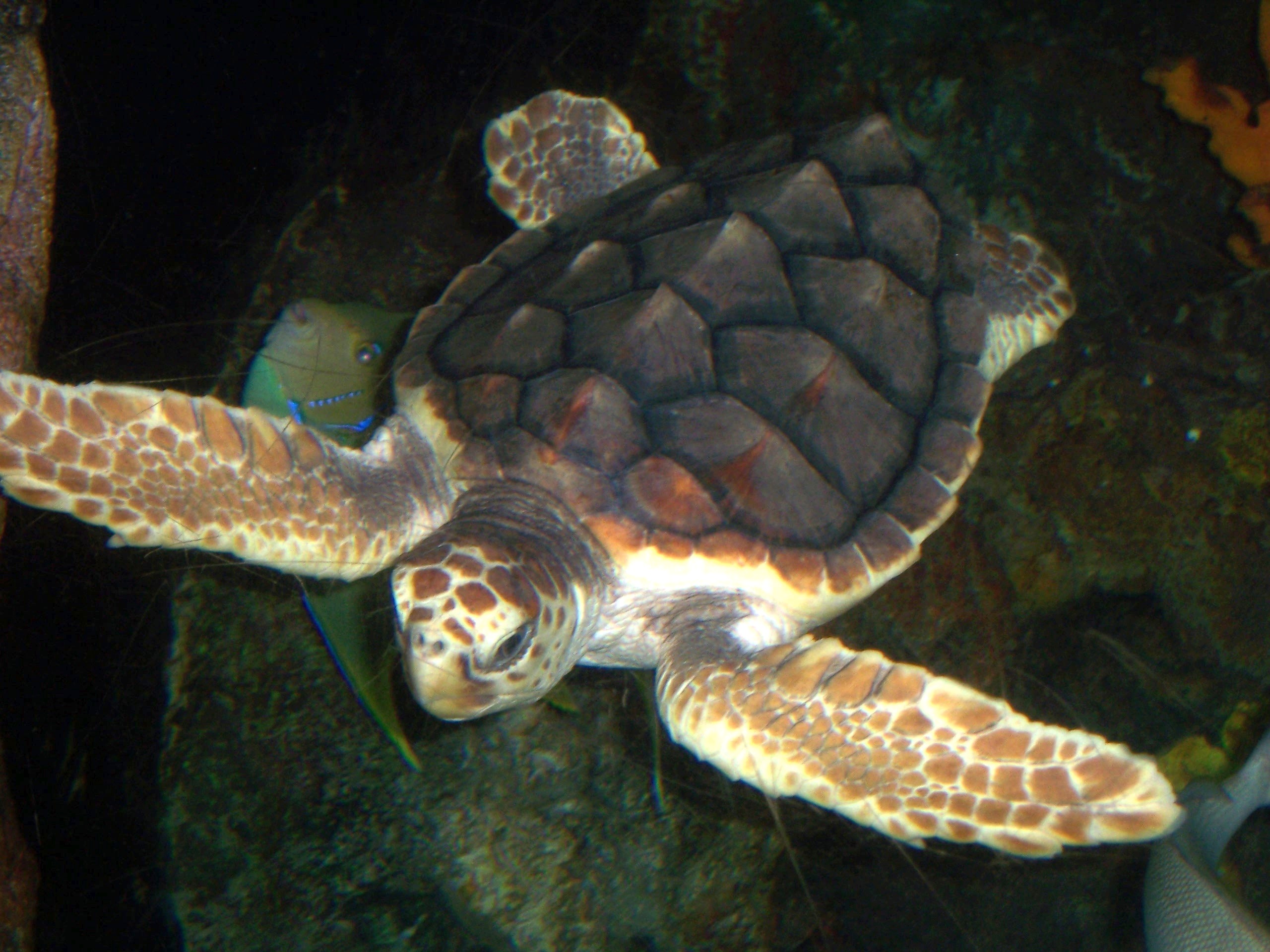 Slider Img 5