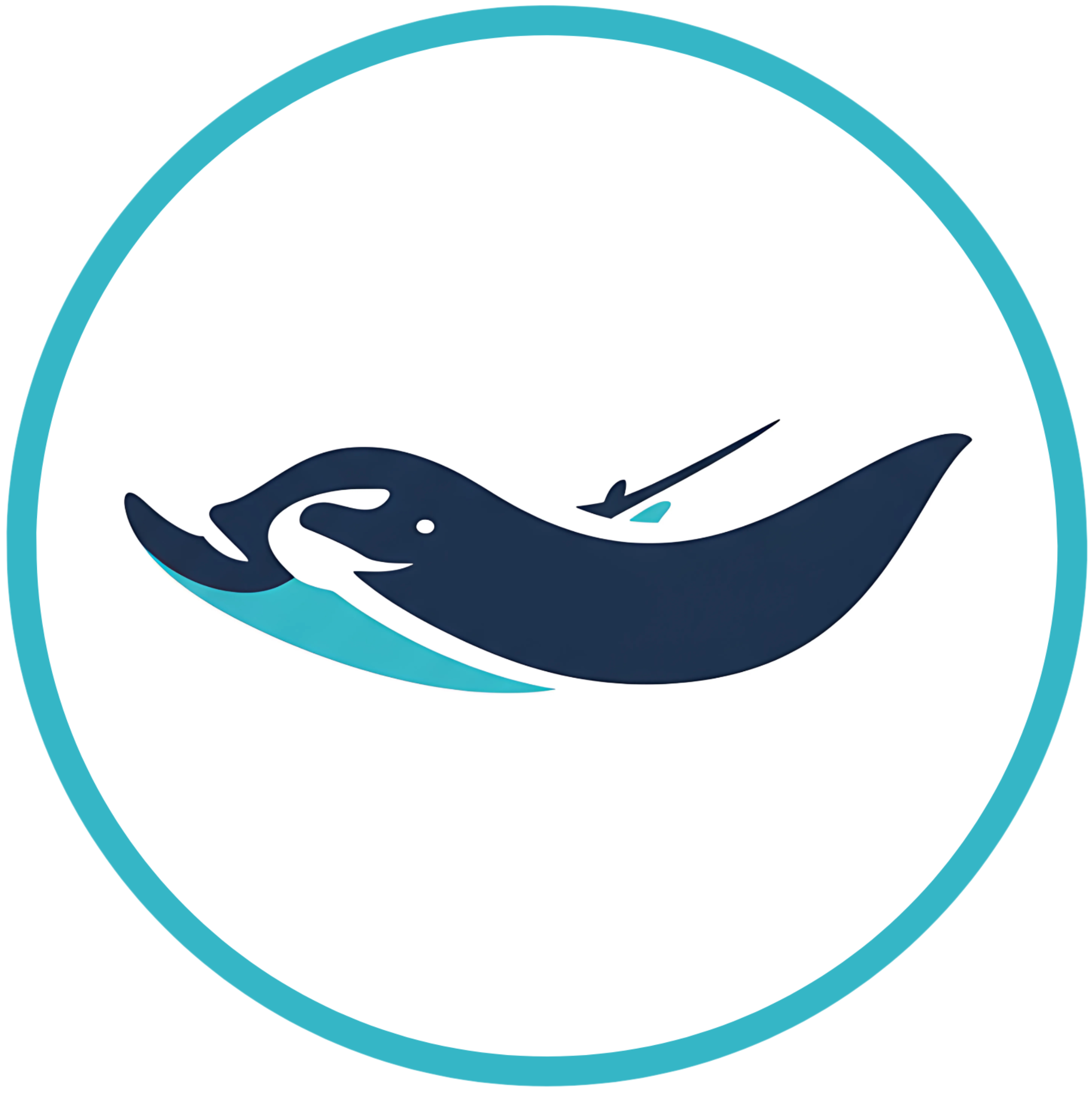 Dive Stride Thailand Logo Image