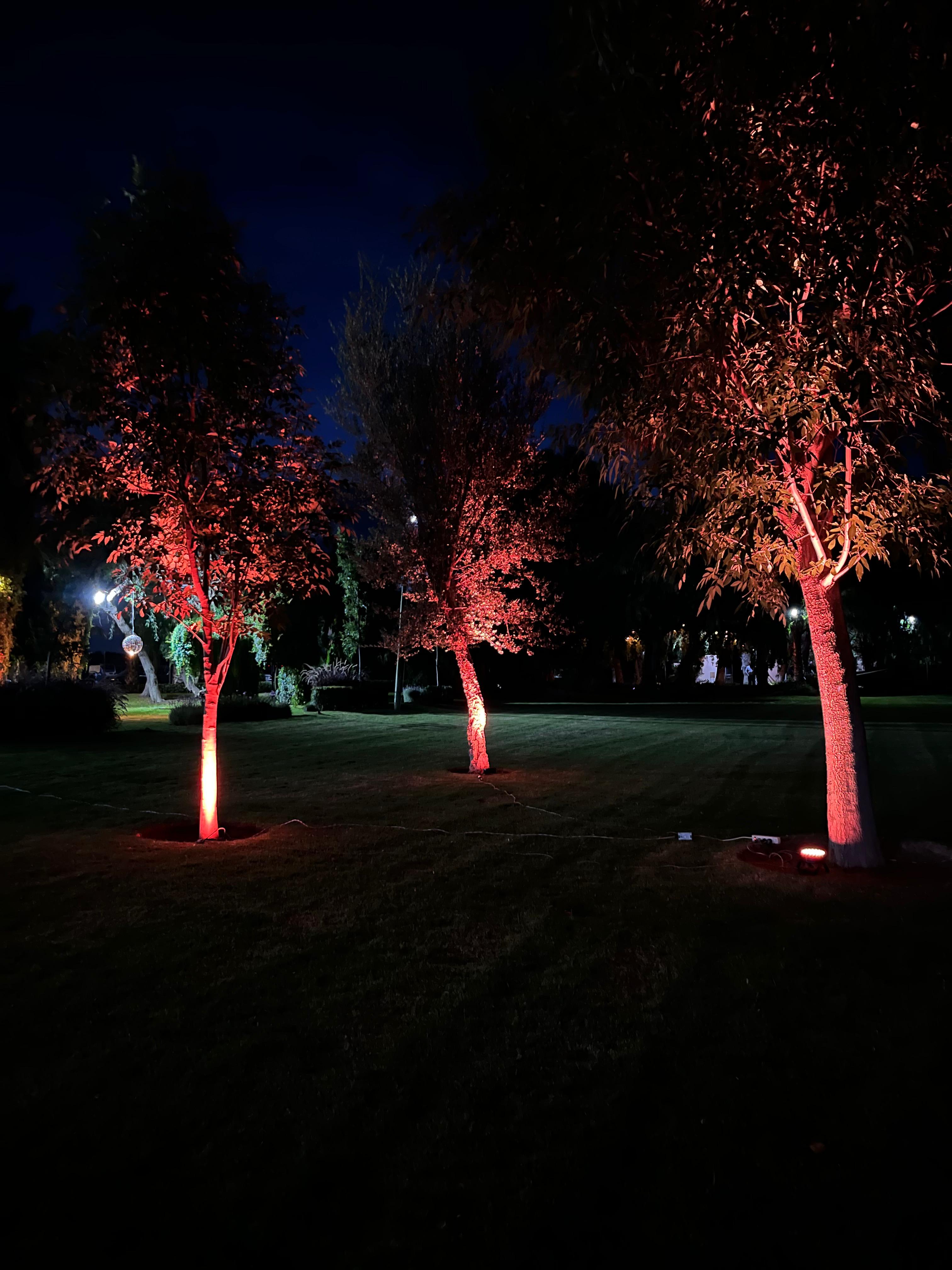 Foto de Ambient Lighting