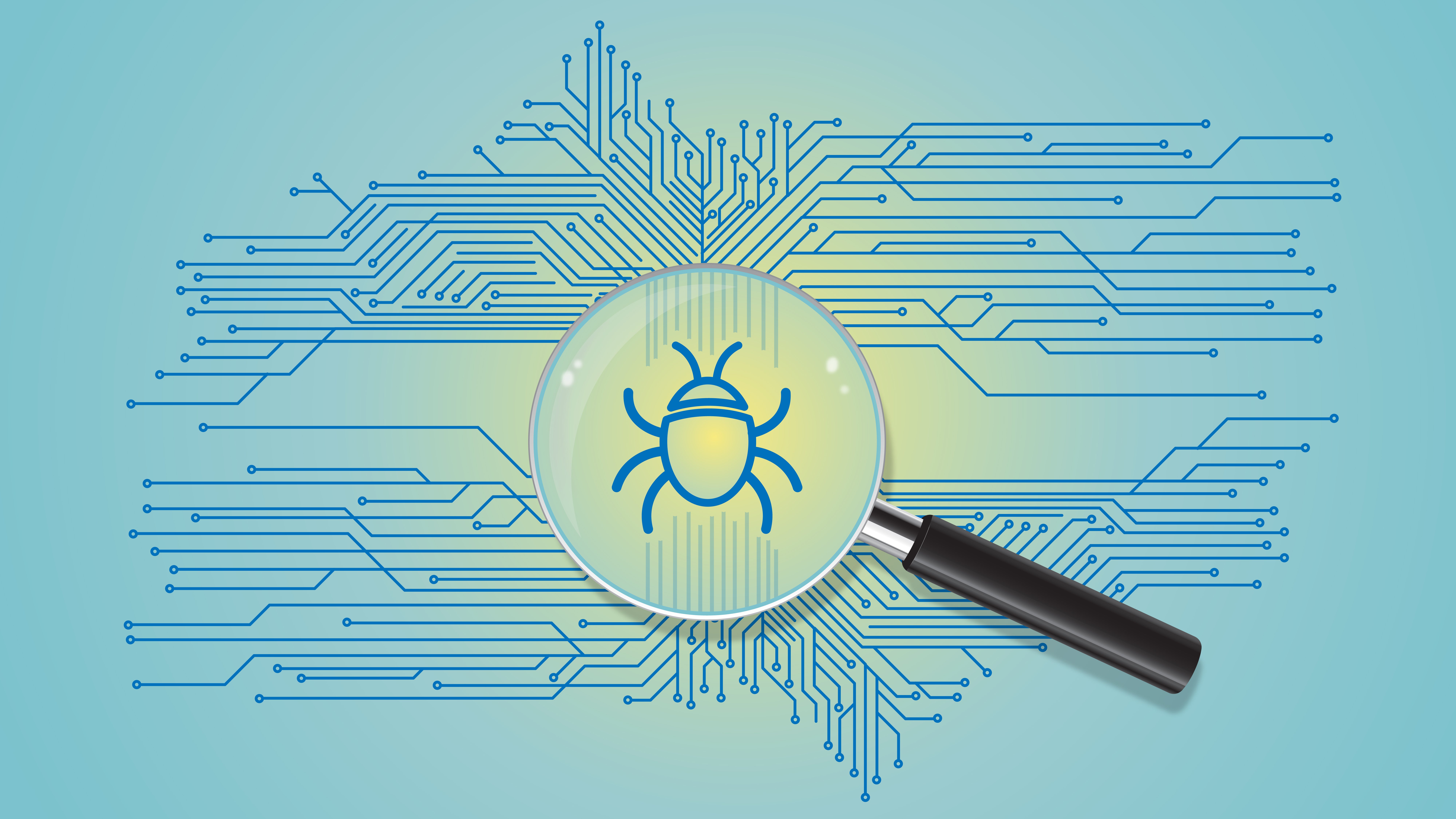 Bug Bounty