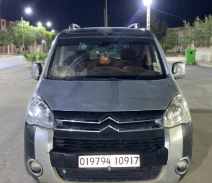 Citroen Berlingo 2009