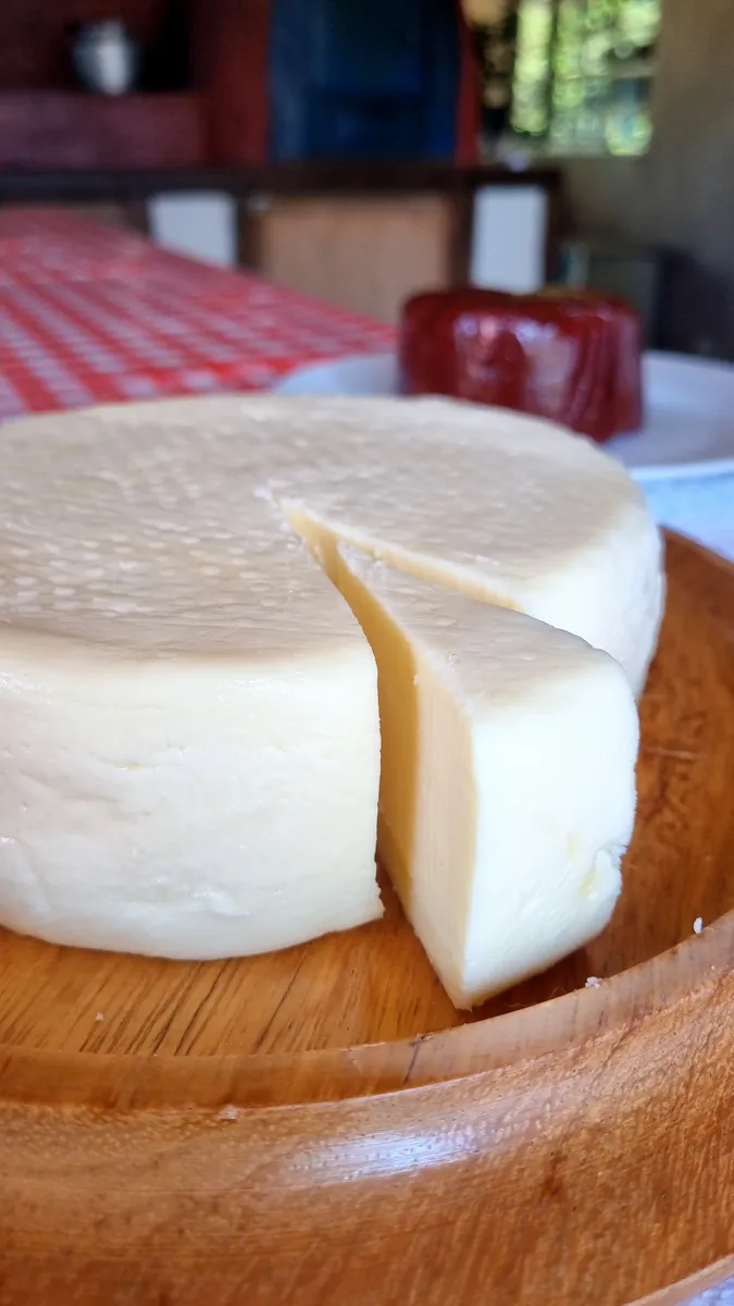 Queijo Padrão - imagem 4 de 4