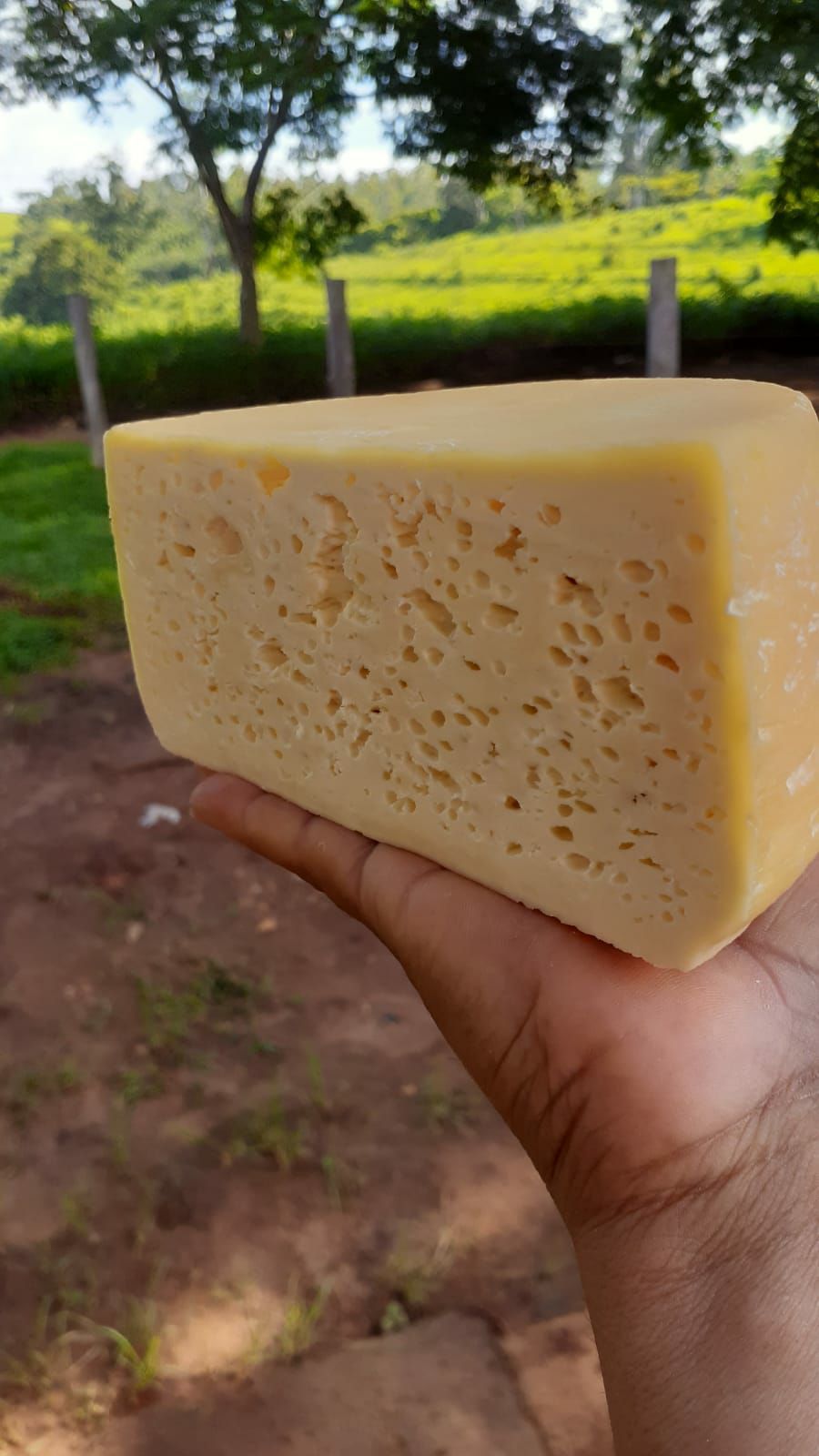 Queijo Furadinho Pequeno