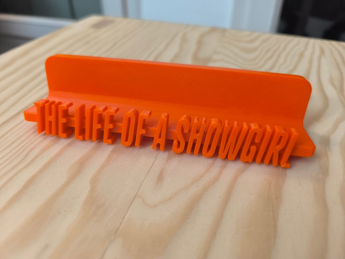 SUPPORT TS VINYLES LIFE OF A SHOWGIRL X 1