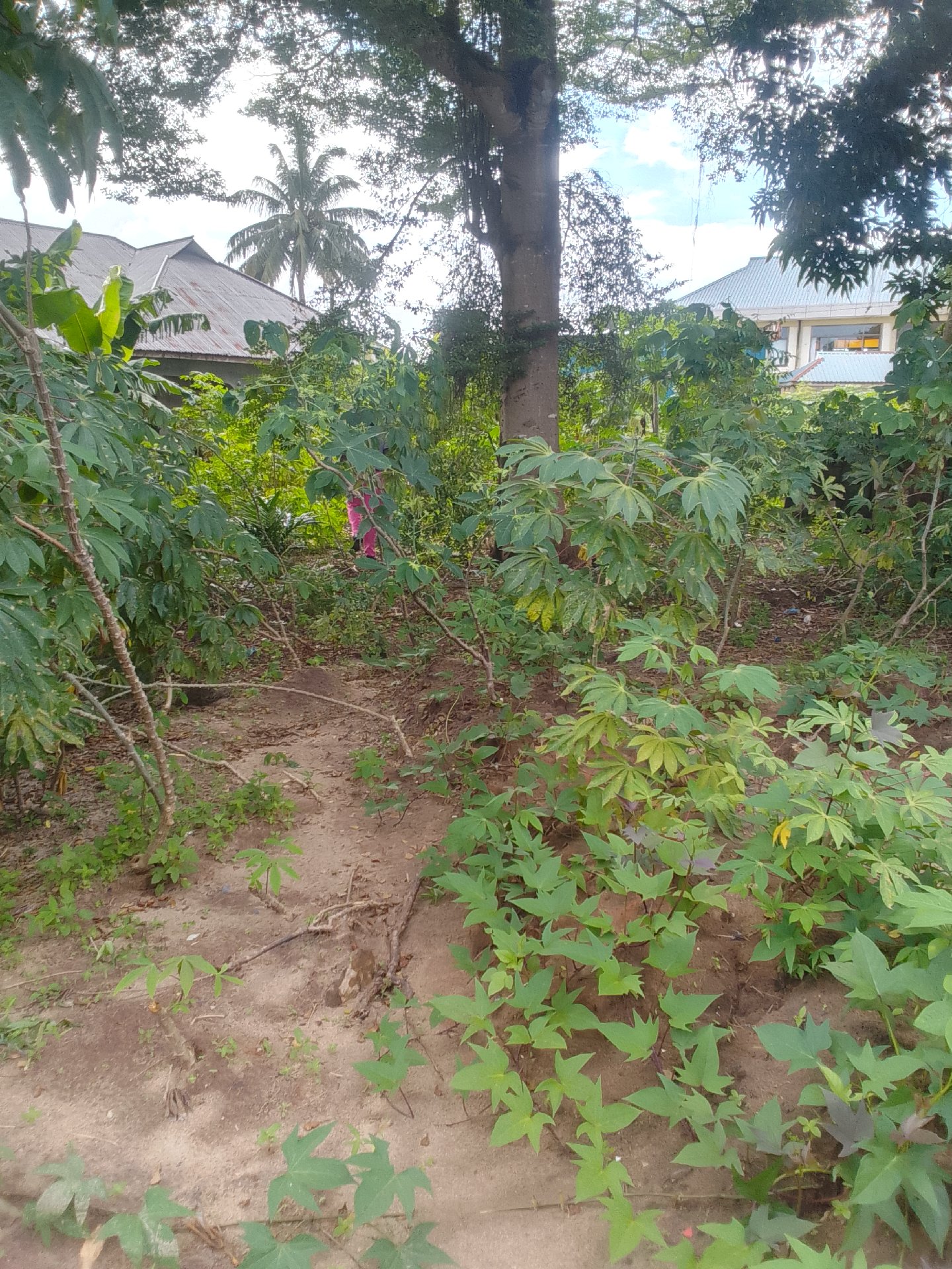 kiwanja Toangoma