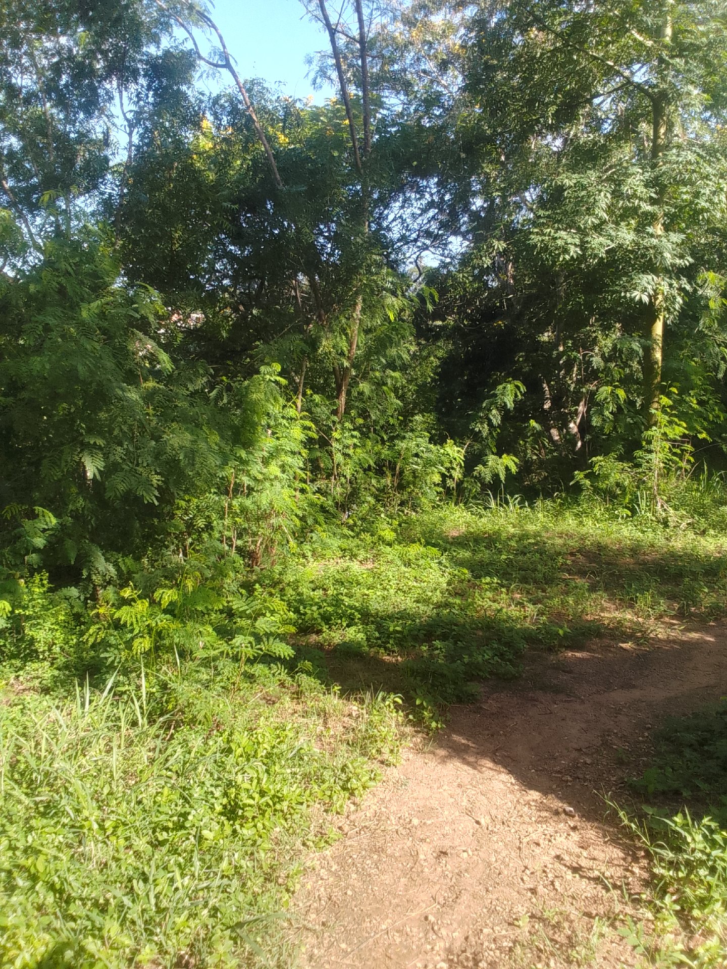 kiwanja vosa street