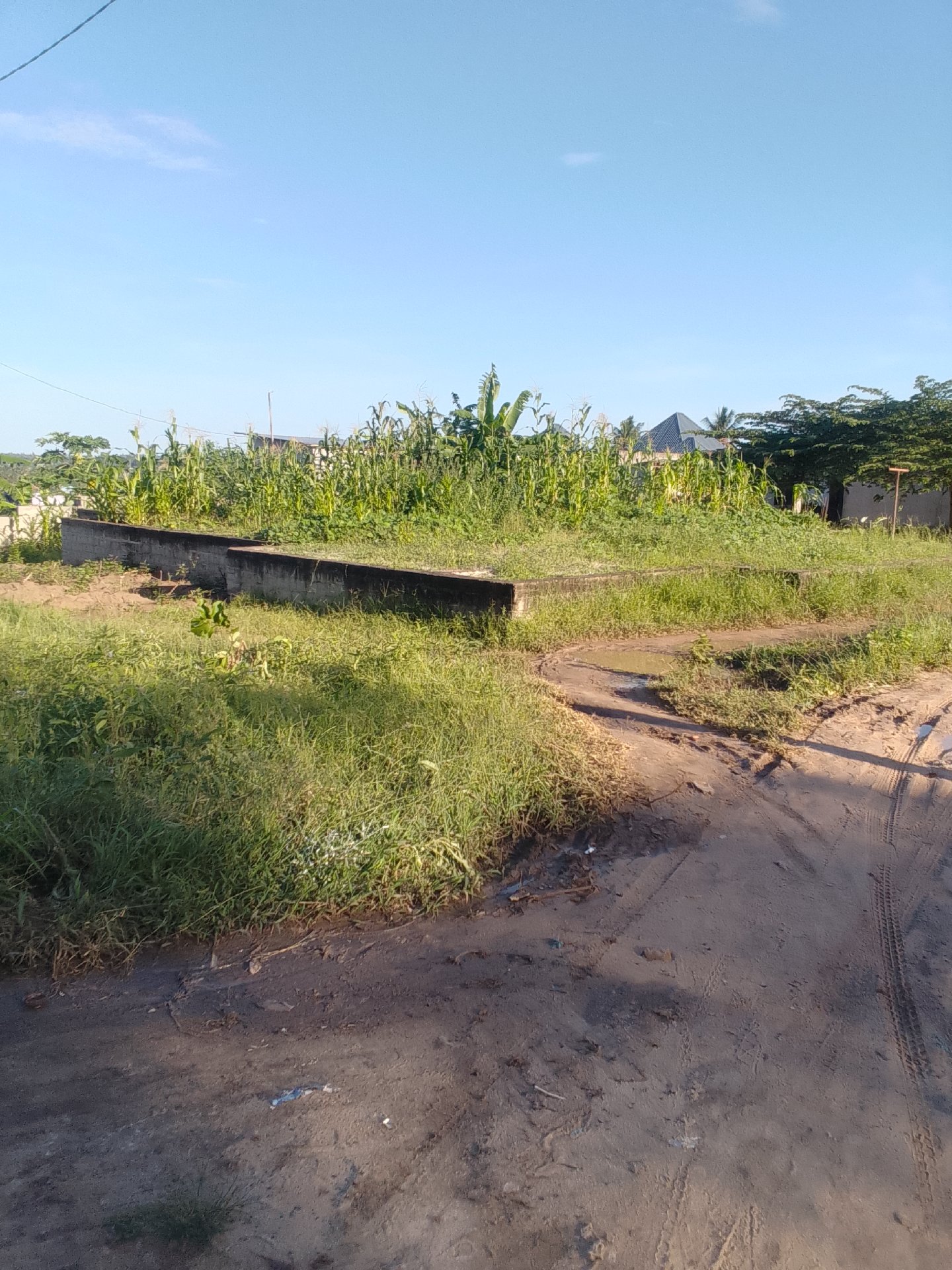 kiwanja mwembemtengu