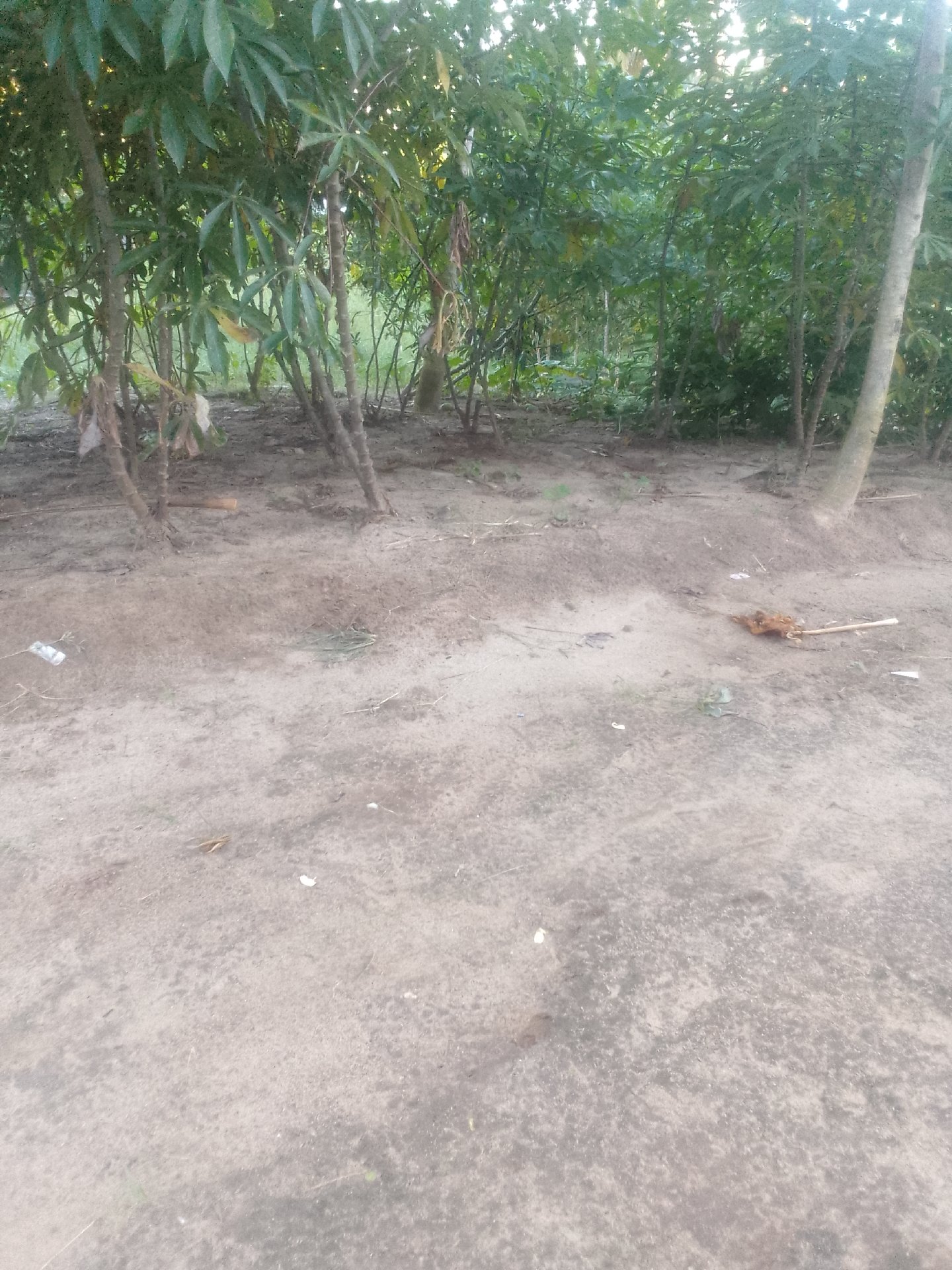 kiwanja Toangoma