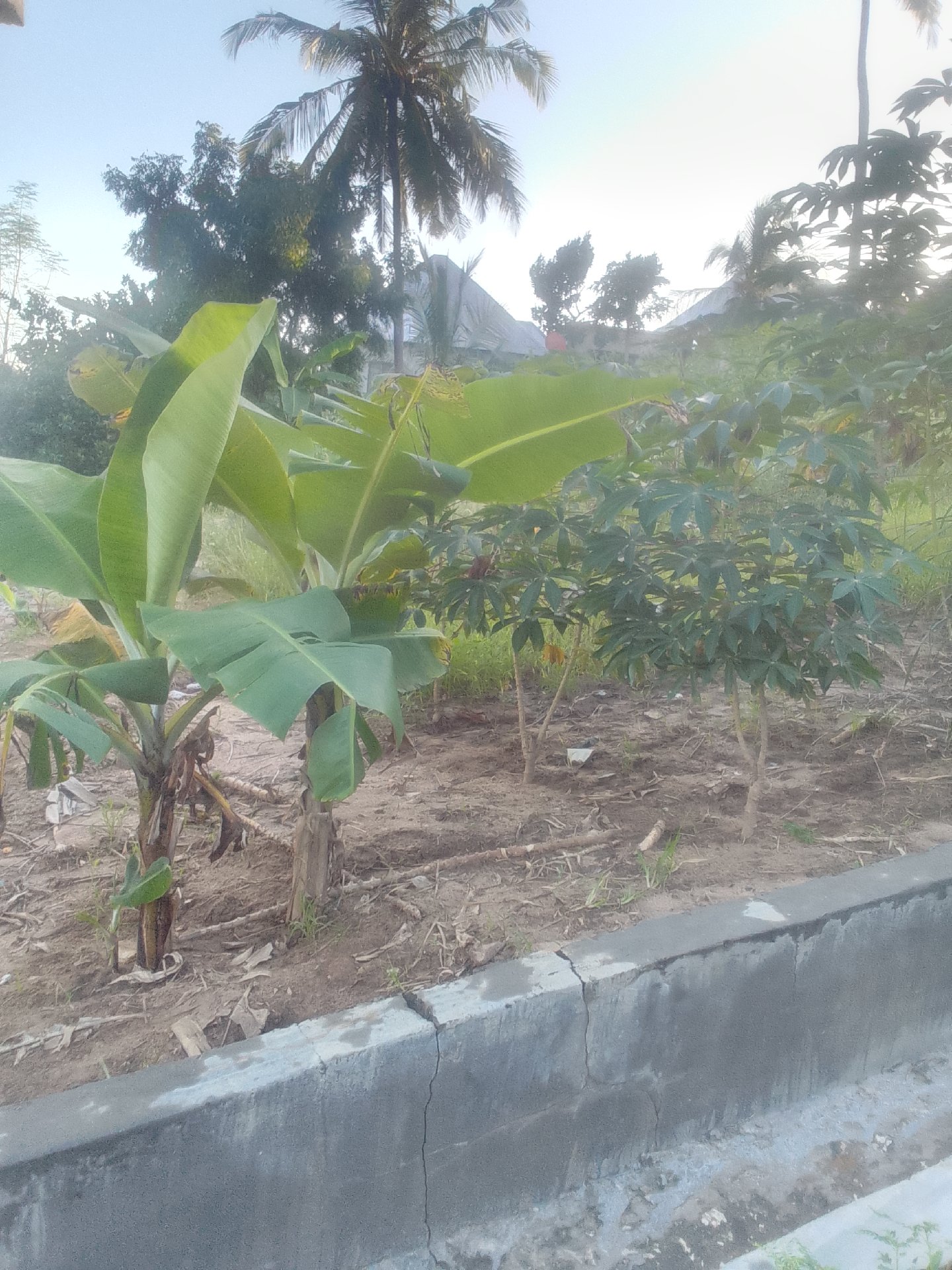 kiwanja Toangoma