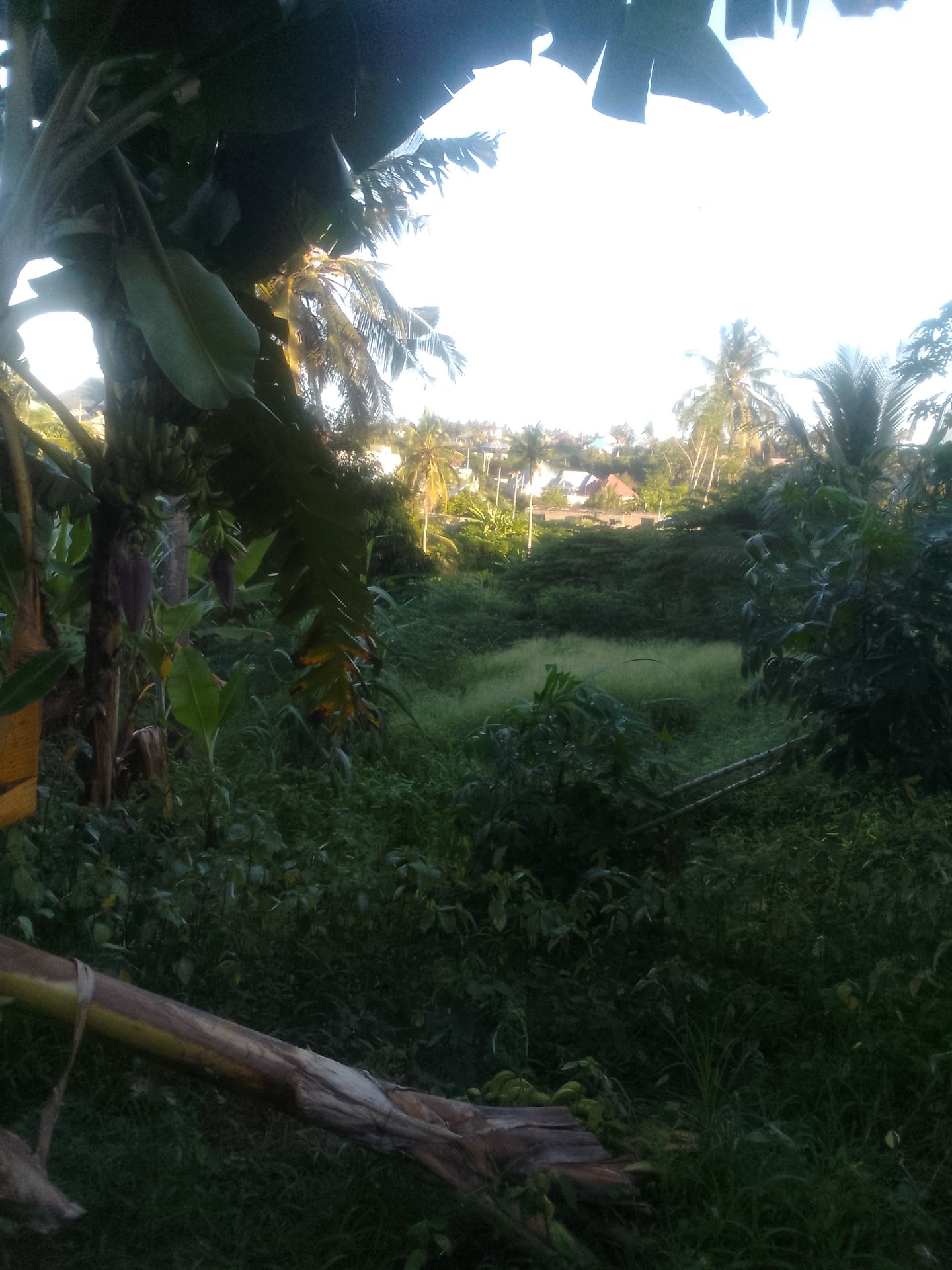 kiwanja kinauzwa