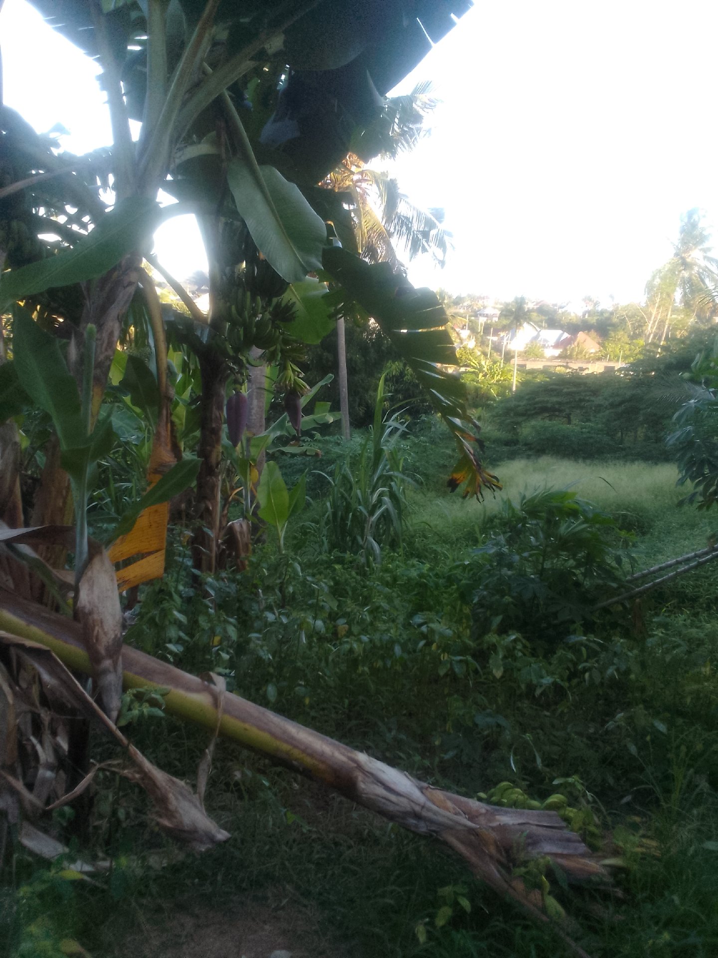 kiwanja kinauzwa