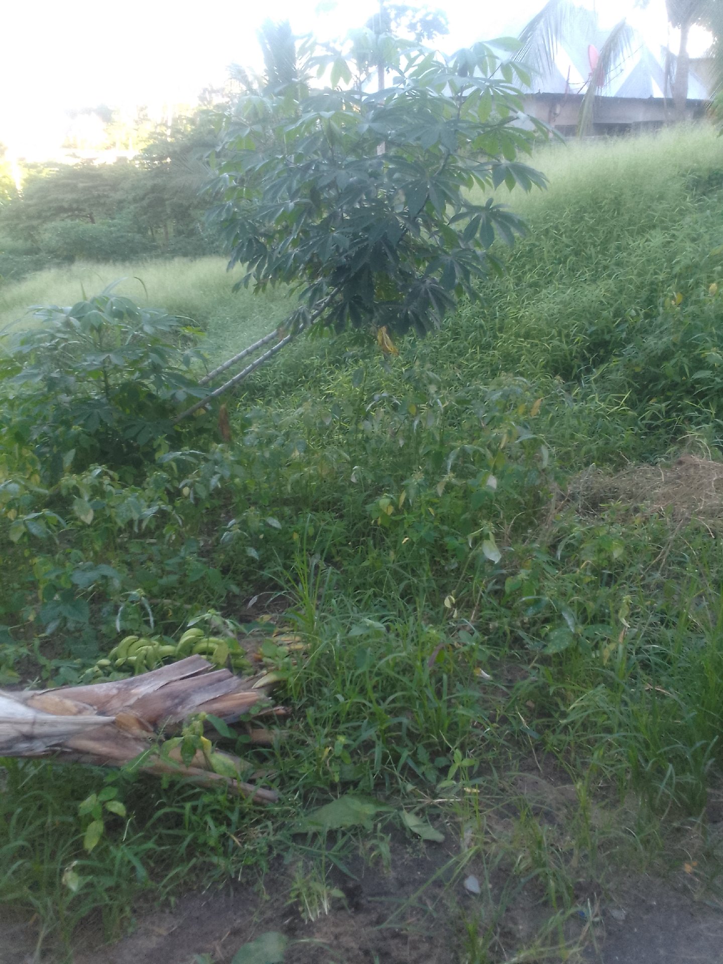 kiwanja kinauzwa