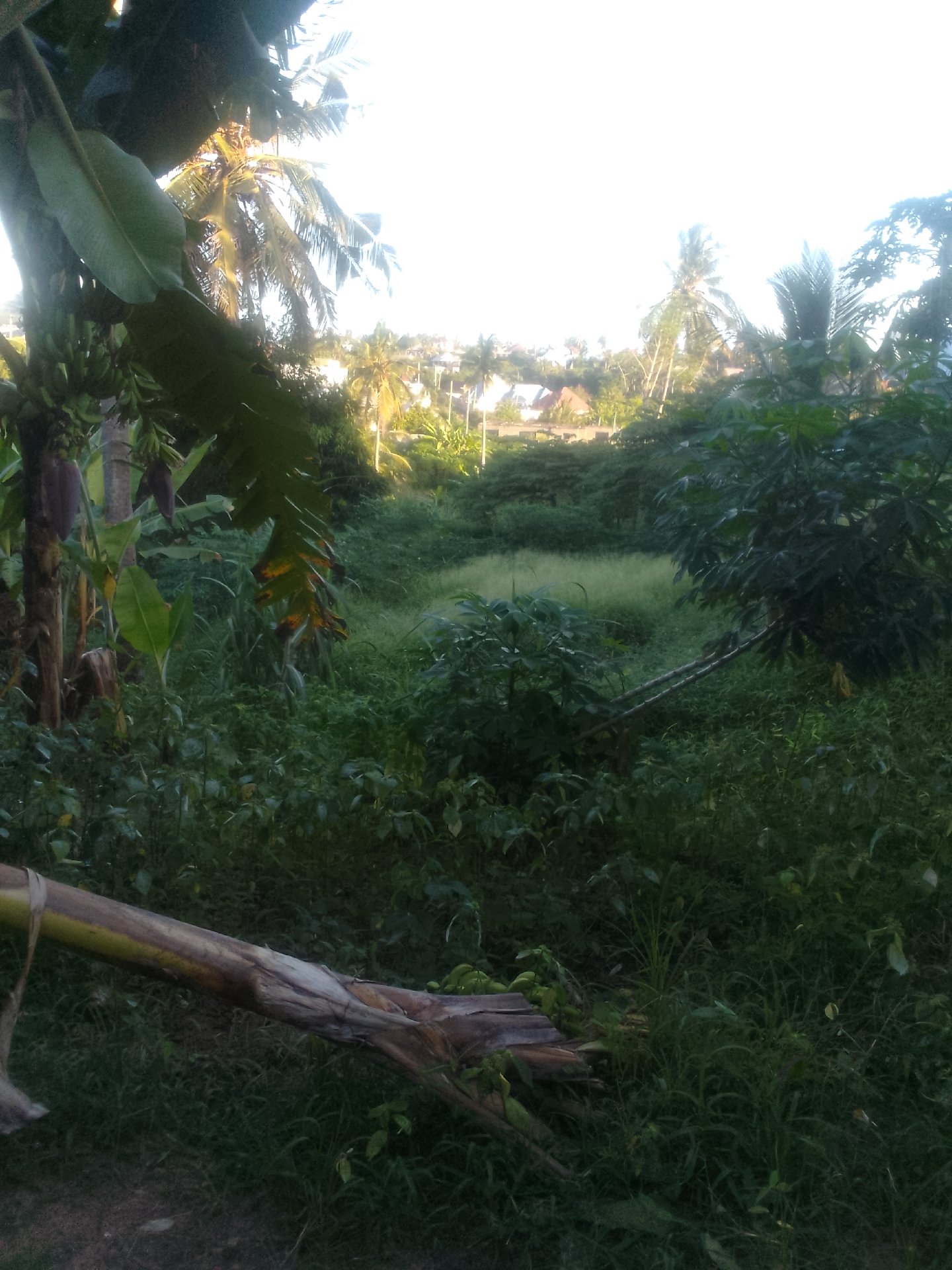 kiwanja kinauzwa