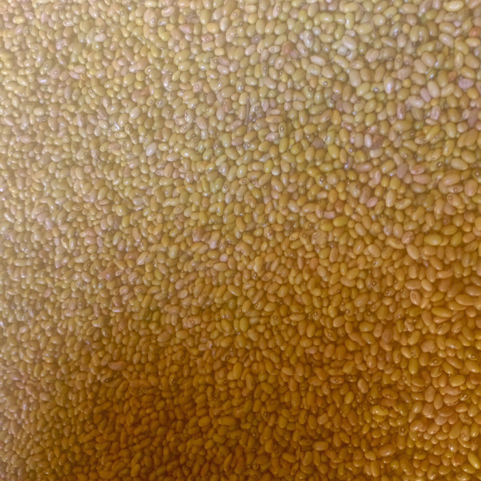 WAUZAJI MARHAGE JUMLA