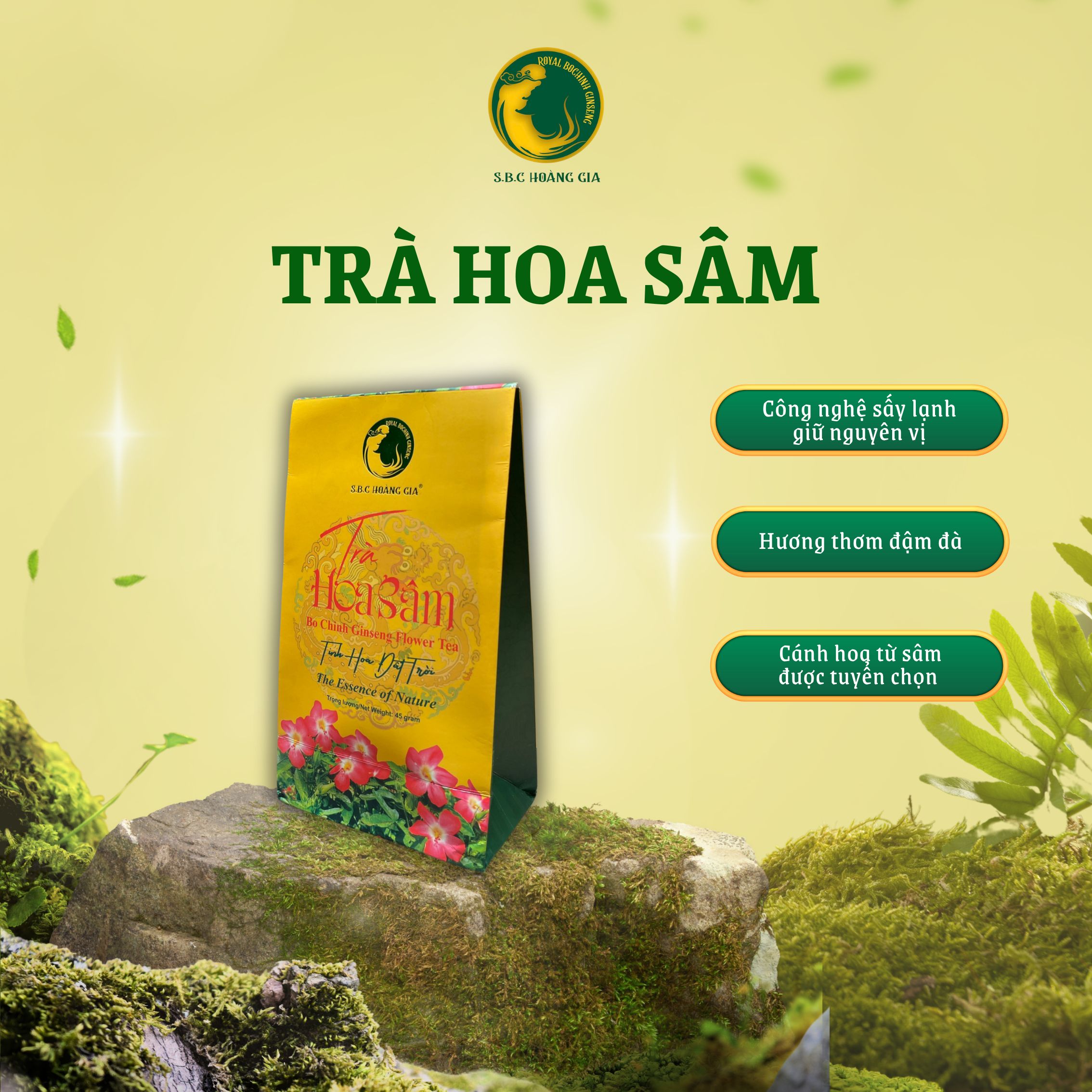 ảnh dưới loại dịch vụ
