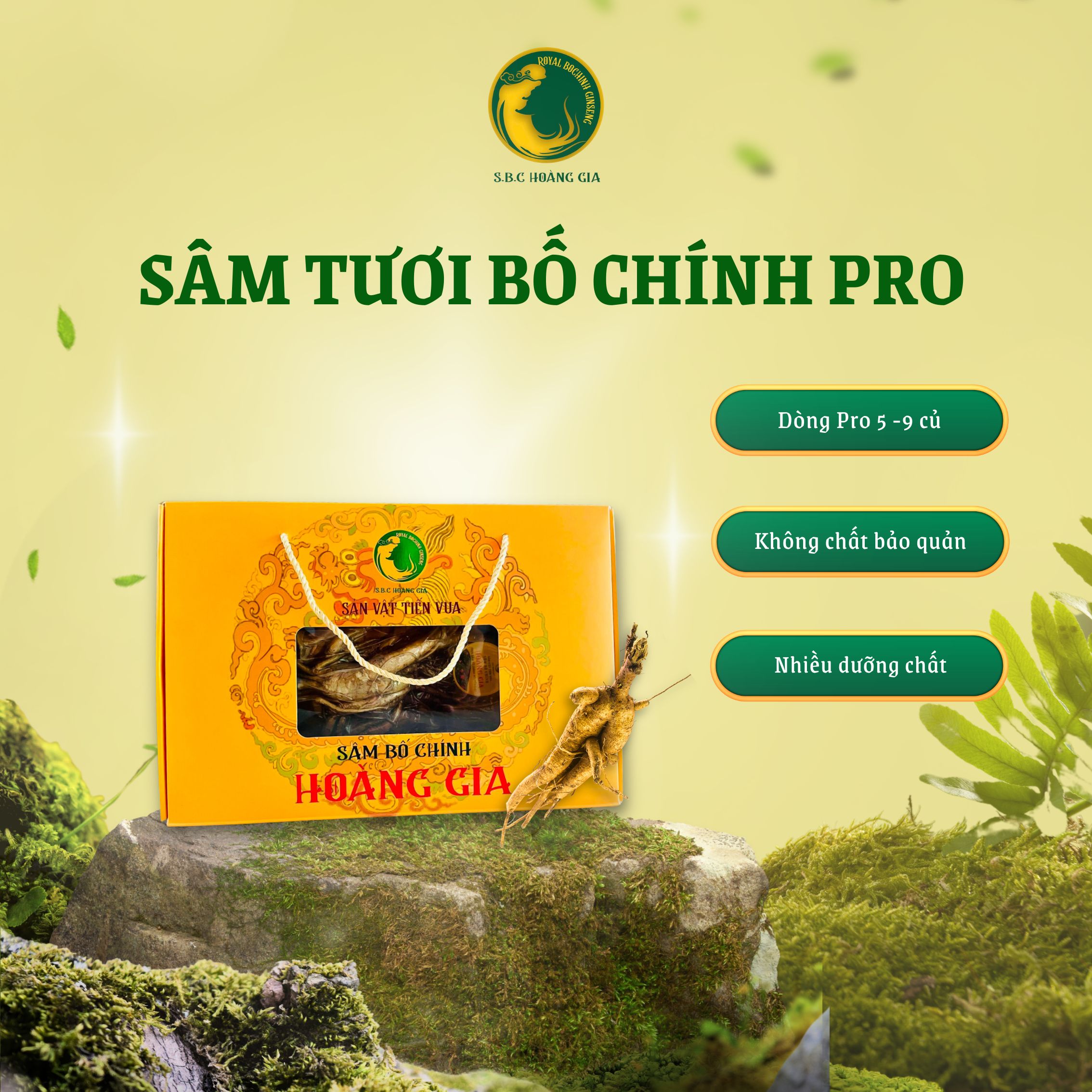 ảnh dưới loại dịch vụ