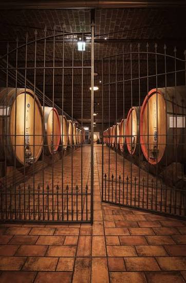 SCARPA WINERY - imagen 1