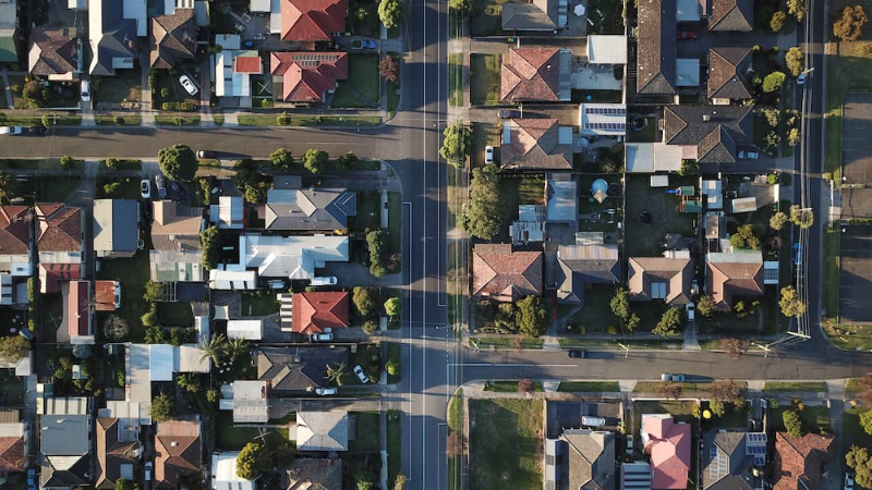 Apicultura urbana: O zumbido do futuro nas cidades - Doce na Medida