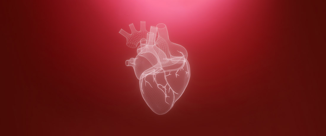 Penyakit Injap Jantung: Mengapa Injap Jantung Bocor? - DoctorOnCall