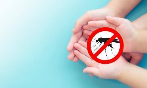 Prevent Dengue? Find the Latest Measures Here! | DoctorOnCall
