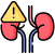 Chronic Kidney Disease (CKD)