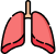 Respiratory Health