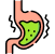 Gastric