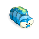 Larva zafiro
