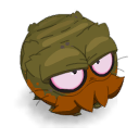 Morcac