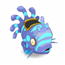 Muldo Turquoise et Indigo