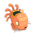 Muldo Corail