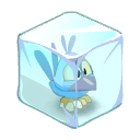 Kwakus