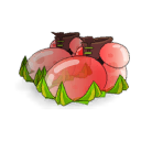 Royal Morello Cherry Bloopts