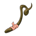 Baguette Rhon