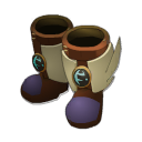 Botas de los viajeros