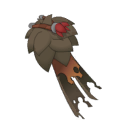 Black Rat Cape