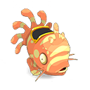 Muldo Corail et Amande