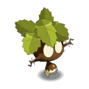 Bulbimenthe
