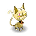 Catichan