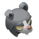 The Bear