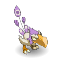 Wind Kwakere