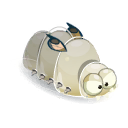 Shin Larva