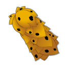 Capa de Nevark