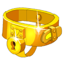 Golden Lady's Belt