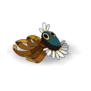 Marguerrita