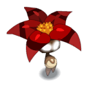 Bulbiflor