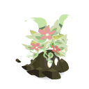 Germen de Dremoan