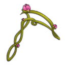 Nenufoz