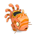 Muldo Corail et Roux